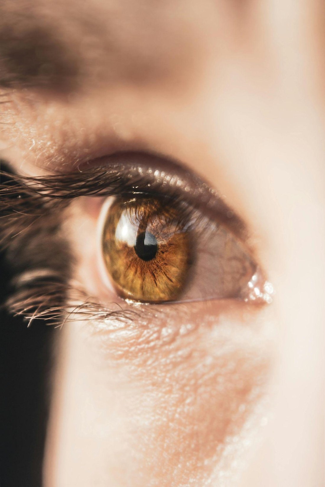 Isabel Trier - Treinadora e Estrategista